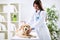 Female veterinary examining dog