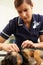 Female Veterinary Surgeon Examining Dog