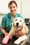 Female Veterinary Surgeon Treating Dog In Surgery