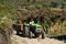 Female vintner driving the tractor in the vineyard