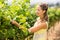 Female vintner inspecting grape crop