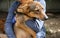 Female volunteer with homeless dog at animal shelter