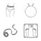 Female waist, ball for jumping, measuring tape, weighing scales. Fitness set collection icons in outline style vector