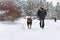 Female walking a dog