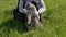 Female Walking a Fat Gray British Cat on a Leash in the Open Air in Green Grass