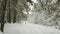 Female walks in snowy winter forest with a dog