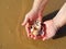 Female wet hands holding a bunch of seashells. Enjoy sunny beach