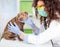 Female wet with stethoscope examines puppy Shar Pei dog