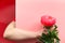 Female woman hand holding single pink peony flower from behind paper board. Trendy casual greeting background in split