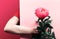 Female woman hand holding single pink peony flower from behind paper board. Trendy casual greeting background in split two tone