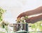 Female woman hand making seasonal traditional syrup of elderberry flowers