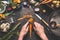 Female woman hands peeling carrots on dark wooden kitchen table with vegetables cooking ingredients