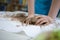 Female Worker in Apron Rolling a Piece of Wet Clay on Table Before Moulding