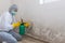 Female worker of cleaning service removes the mold using antimicrobial spray