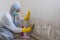 Female worker of cleaning service removes mold from wall using spray bottle with mold remediation chemicals and scraper tool