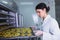 Female worker on food dryer dehydrator machine