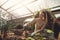 Female worker gardening in greenhouse