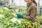 Female Worker Sorting Tulips