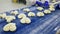 Female workers making delicious sweet buns of dought on conveyor belt.