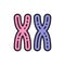 Female XX chromosomes, woman sex, genes flat color line icon.