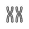 Female XX chromosomes, woman sex, genes grey icon.