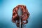 Females hair. Black hairbrush with a red wig, looks like a woman's head with a hairstyle. Blue background. Copy space.