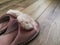 Feminine beautiful slippers stand on the renewed laminate floor