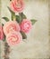 Feminine Camellia Flowers with Vintage Texture