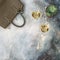 Feminine fashion background bag champagne Flat lay succulent