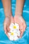 feminine hands holding fragrant frangipani flower