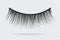 Feminine lashes vector. False eyelashes