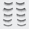 Feminine lashes vector set. False eyelashes