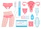 Feminine menstruation. Woman period cycles panties female health protection calendar hygiene items vector flat pictures