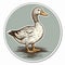 Feminine Sticker Art: Detailed Scientific Illustration Of A Duck In A Circle