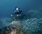 A Femle Diver Hovers Over a School of Fish in the Florida Keys