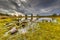 Fen in nature reserve Tongerense heide