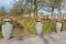 Fence in Alexandrovsky Park, Tsarskoye Selo.