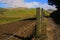 A fence with barbed wire alongside a dirt road protecting the freshly sowed ground with crops in a hilly environment