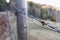 Fence with barbed wire. Closeup