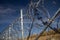 Fence and barbed wire install ready on the Hungarian - Croatian