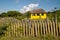 Fence of cactus on the island of Bonaire in the Caribbean