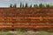 Fence in cornfield in Buenos Aires