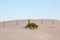 Fence in the dunes in praia do cassino , brazil