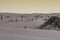 Fence in the dunes in praia do cassino , brazil