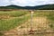 Fence Farmland