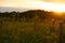 Fence farmland sunset A