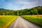 Fence and field along dirt road at Cade\'s Cove, Great Smoky Moun