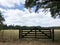 Fence in forest of Drents-Friese Wold in Appelscha