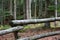 A fence in the forest in the early autumn months