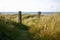 Fence with gate in the field like dunes